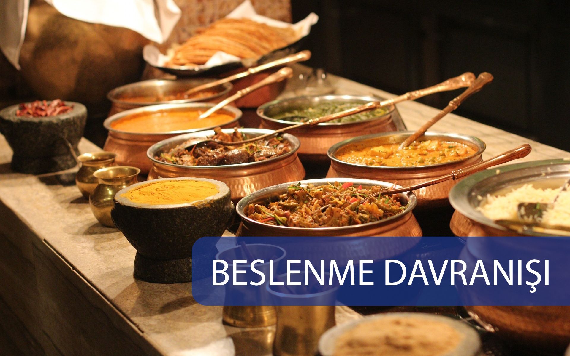 Beslenme Davranışı
