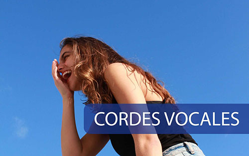 Cordes Vocales