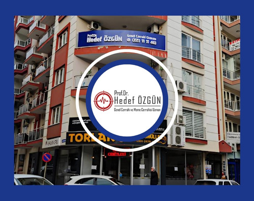 Professor Dr. Hedef Özgün